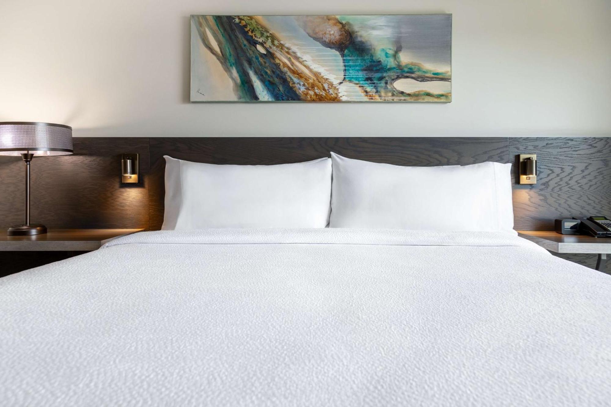 Hilton Garden Inn Fredericton Eksteriør billede